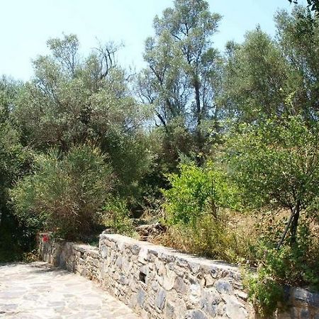 Aposperitis Villas Theodhóra エクステリア 写真