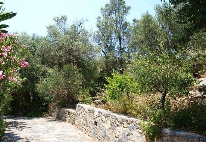 Aposperitis Villas Theodhóra エクステリア 写真